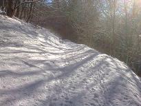 La montée dans la forêt