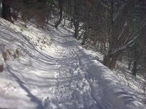 La montée dans la forêt