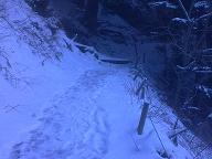 Retour sur le sentier