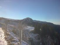 Le capucin