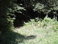 Dpart du sentier