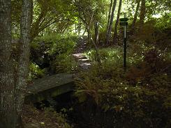 Petit pont sur le sentier rejoignant la route