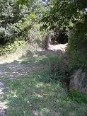 Dpart du sentier grimpant en direction de la Malorire