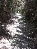 Le sentier