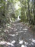 Le chemin aprs la Mnortire