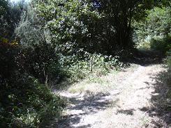 Attention, le chemin est  gauche