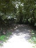 Le chemin remontant  la Gouachre