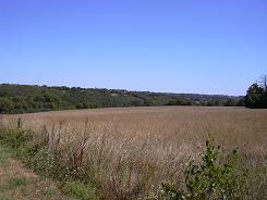 Vue sur la vallée depuis la route