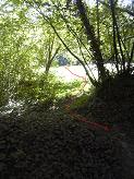 Le chemin après avoir traversé la clairière