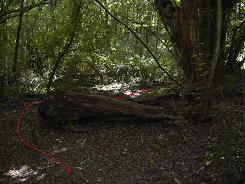 Obstacle sur le chemin