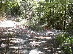 A la sortie du sentier