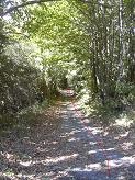 Le chemin