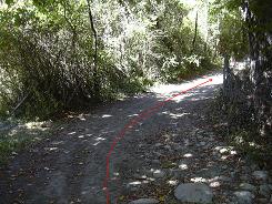 Le chemin 
