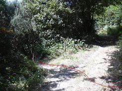 Retour vers le sentier botanique après la descente dans la pente