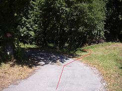 Retour vers le chemin dans le bois
