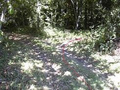 Retour vers le chemin dans le bois